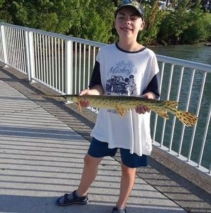 Meet your Posher, Ethan